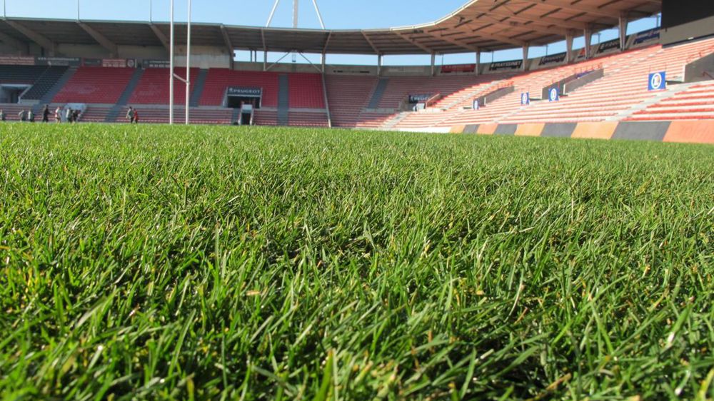 L’évolution de la loi Labbé implique que les terrains de sport vont devoir se passer de certaines spécialités phytosanitaires. ©Pascal Fayolle